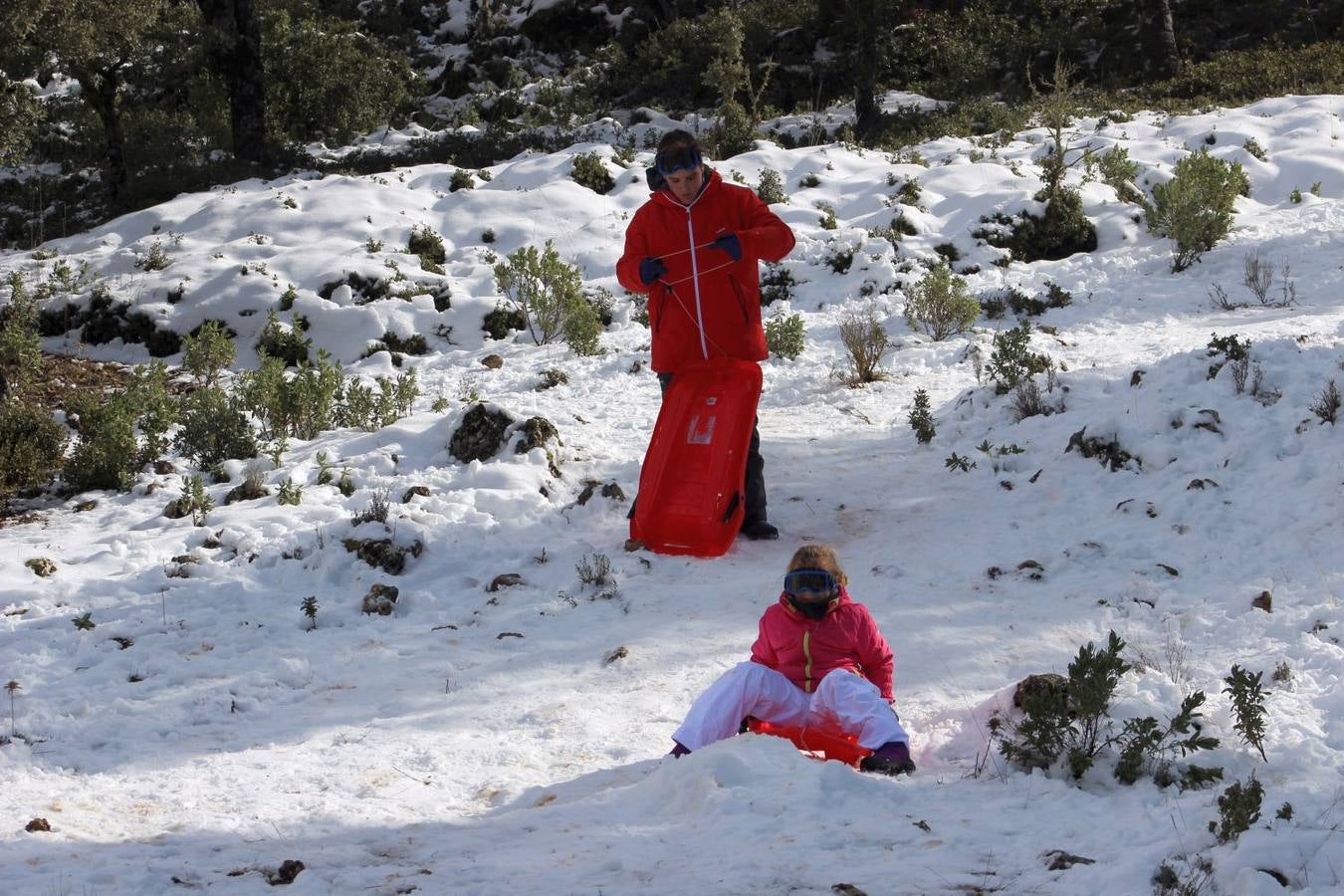 Las mejores imágenes de la nieve este sábado en Ronda