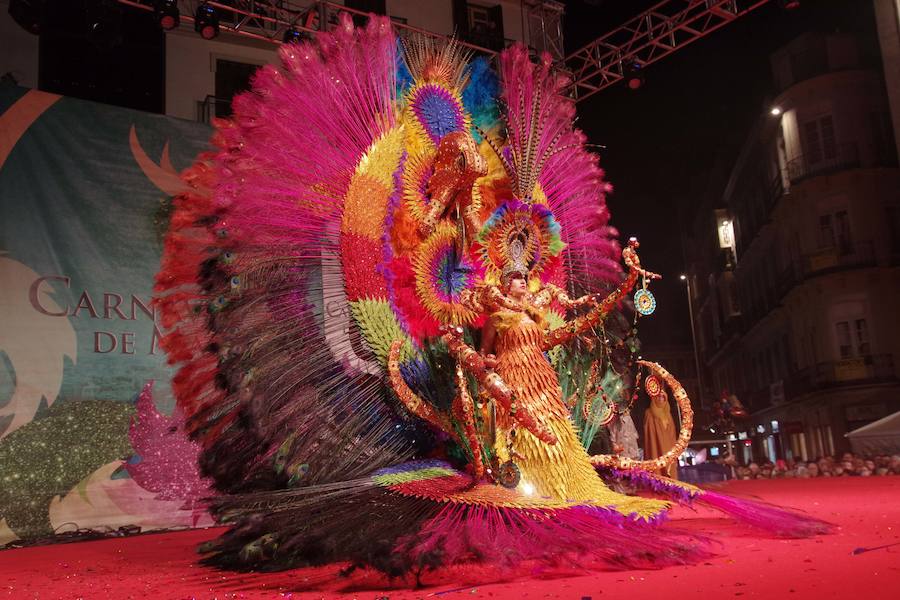 El Pregón del Carnaval de Málaga 2017, en imágenes