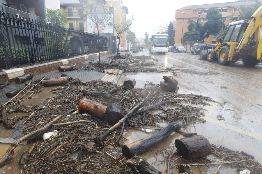 Los efectos de la tromba de lluvia y granizo, en fotos de Fernando González