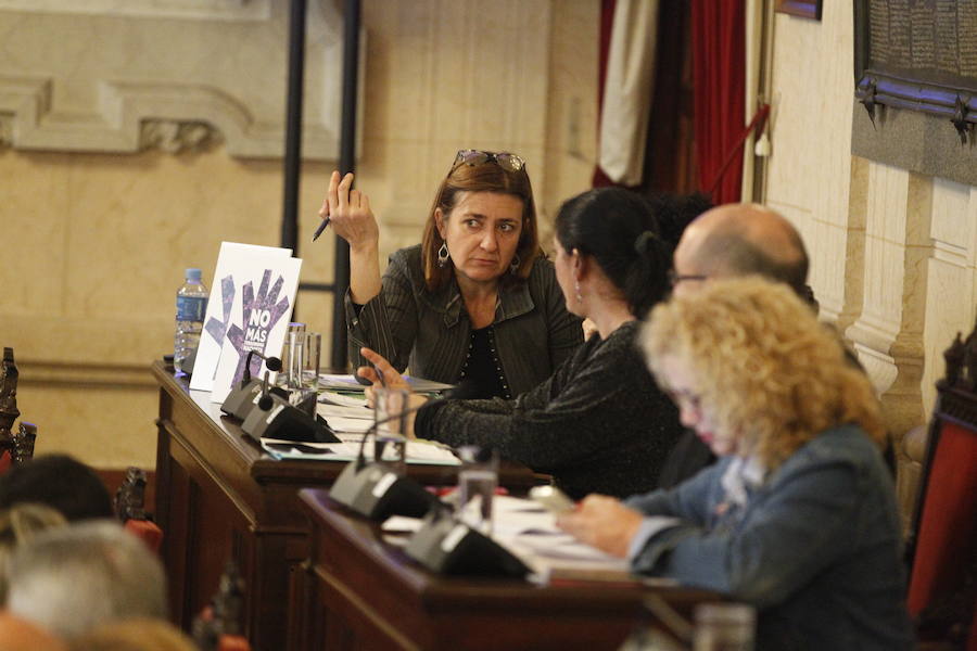 El pleno del Ayuntamiento de Málaga, en imágenes