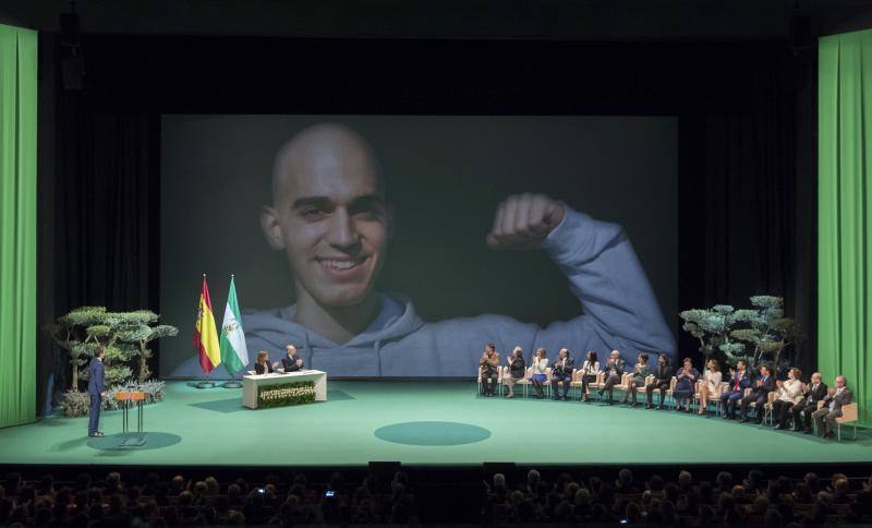 Fotos de la entrega de las Medallas de Andalucía 2017