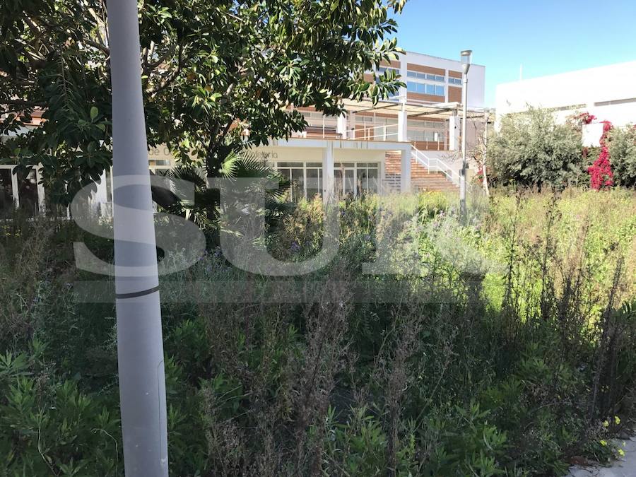 El CIO Mijas, en imágenes