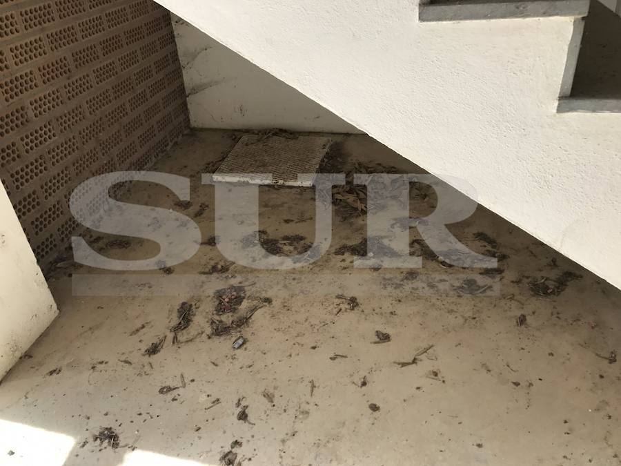 El CIO Mijas, en imágenes