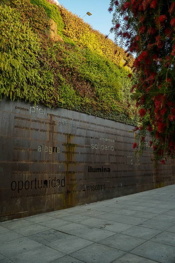 Ocho lugares del Centro de Málaga para lucir en Instagram