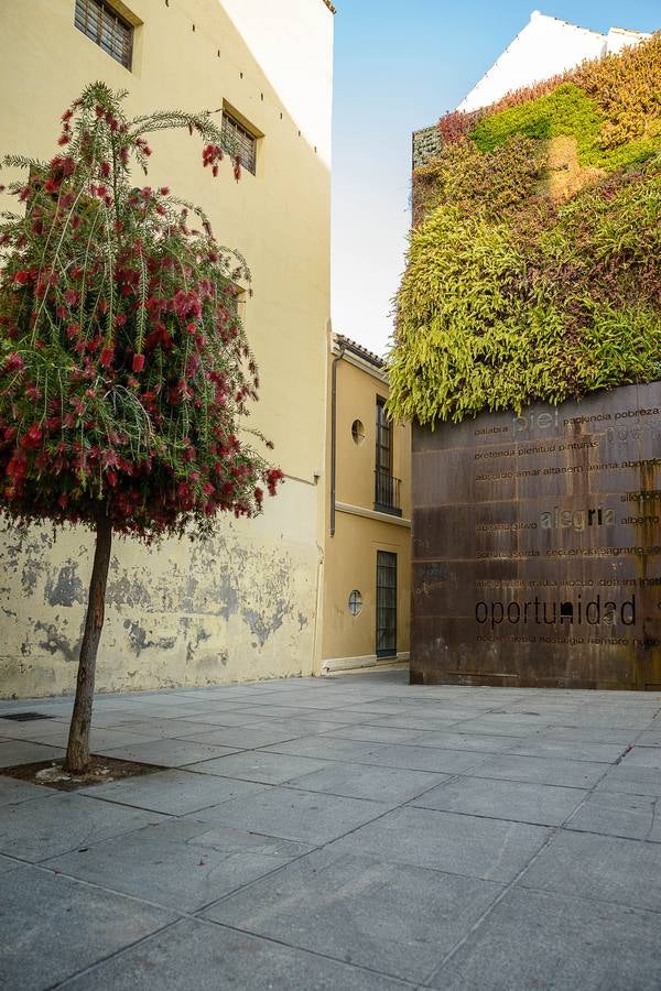 Ocho lugares del Centro de Málaga para lucir en Instagram