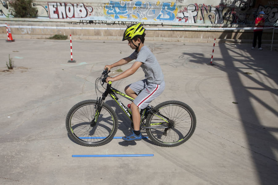 La Fiesta del Deporte, en imágenes