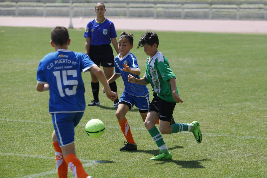 La Fiesta del Deporte, en imágenes