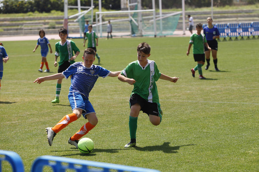 La Fiesta del Deporte, en imágenes