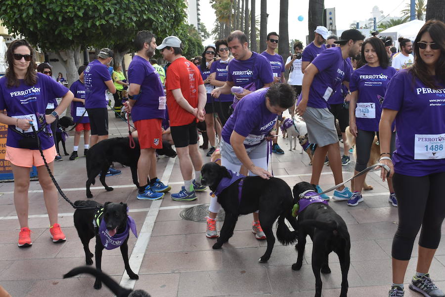 La primera edición andaluza del Perrotón, en Marbella, en fotos