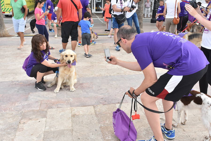 La primera edición andaluza del Perrotón, en Marbella, en fotos