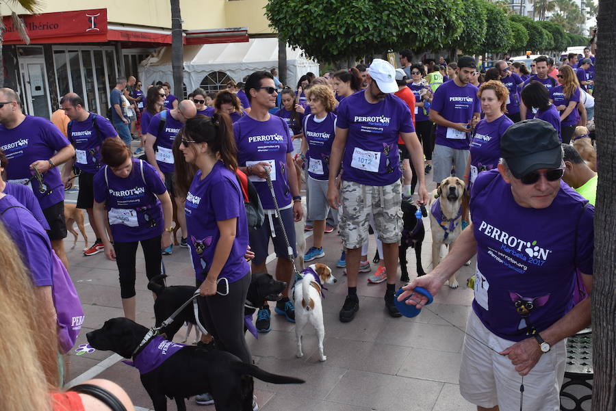 La primera edición andaluza del Perrotón, en Marbella, en fotos