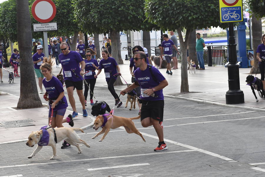 La primera edición andaluza del Perrotón, en Marbella, en fotos