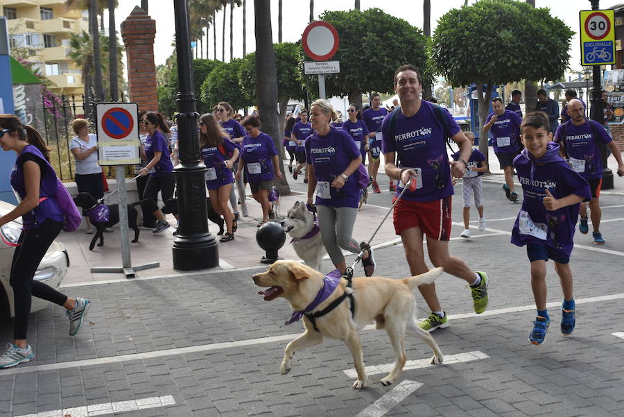 La primera edición andaluza del Perrotón, en Marbella, en fotos