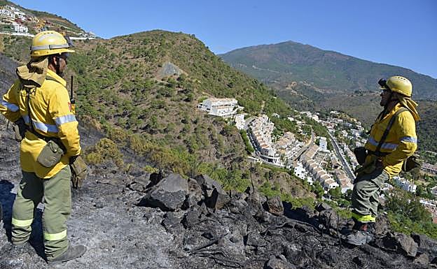 Técnicos del Infoca en una zona afectada por un incendio forestal (archivo)