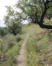 Imagen secundaria 2 - Arriba: Baliza entre amapolas y aguacates. Izquierda: Puente sobre el arroyo del Muerto. Derecha: Vereda que sale desde el arroyo.