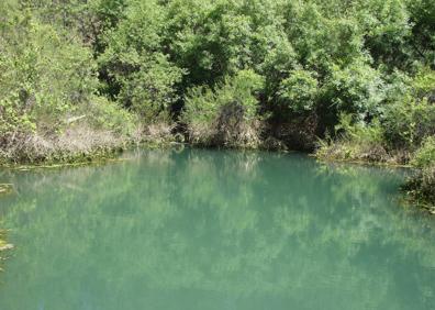 Imagen secundaria 1 - Arriba: La vegetación es muy espesa en algunos puntos del camino. Izquierda: El curso del río ofrece bonitas pozas en su recorrido. Derecha: Presa del Dique