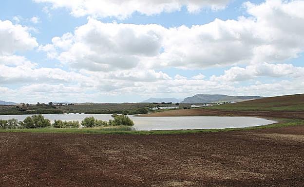 Imagen principal - Laguna de Toro | Aviso de paso por carreteras transitadas por vehículos | Buena parte del recorrido es llana
