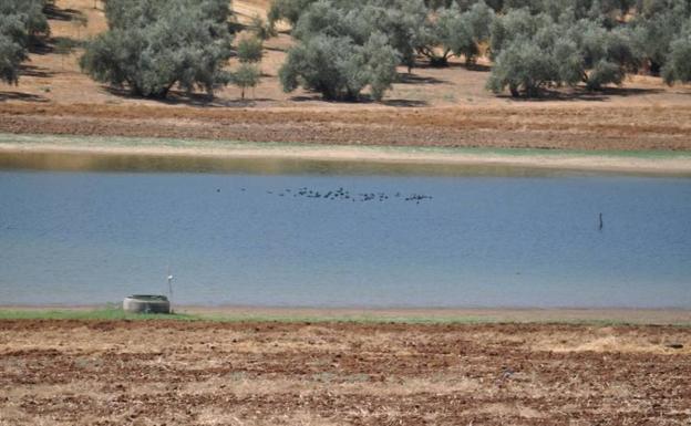 Laguna de la Sarteneja. Foto: Gran Senda de Málaga