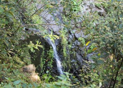 Imagen secundaria 1 - Hito de madera indicativo de esta ruta y de la que lleva hasta Genalguacil | Uno de los saltos de agua que se puede ver en esta ruta | Hay maderas en algunos puntos del río Monardillo para cruzarlo