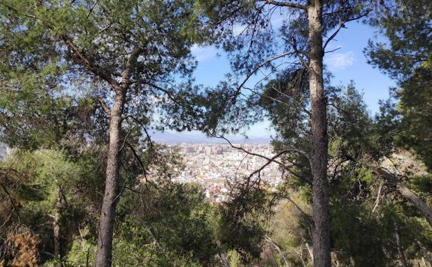 Vistas de Málaga a la altura de Gibralfaro