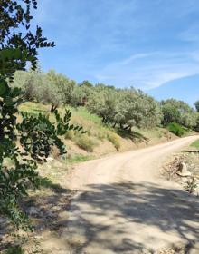 Imagen secundaria 2 - Señalética de la ruta | El camino pasa cerca del Área Recreativa de Las Mayoralas | Buena parte del recorrido es llano