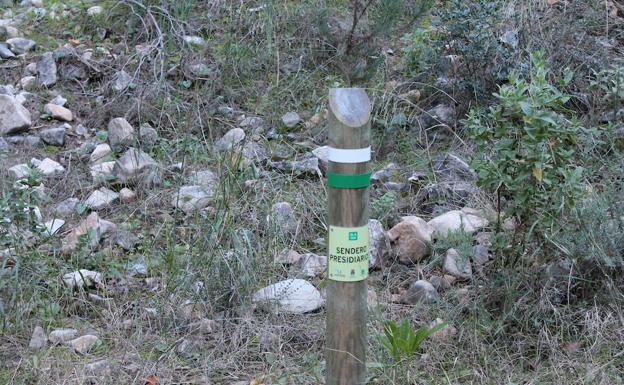 Imagen principal - Señalética de la primera parte de la ruta | Esta ruta tiene ofrece una gran variedad botánica | Buena parte de la ruta se realiza por senderos estrechos