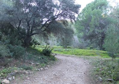 Imagen secundaria 1 - Señalética de la primera parte de la ruta | Esta ruta tiene ofrece una gran variedad botánica | Buena parte de la ruta se realiza por senderos estrechos