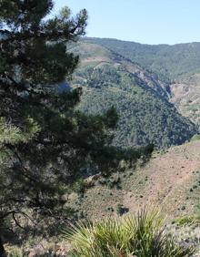 Imagen secundaria 2 - Senderismo Málaga: Sendero de la Rejía