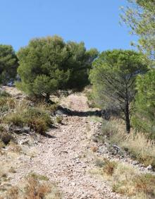 Imagen secundaria 2 - Buena parte del camino se puede hacer por la acera que hay junto al carril | Vistas de las huertas que hay en la ribera del Alcazarín | La subida más dura de este itinerario