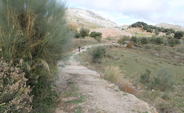 Imagen principal - Recta final de la ruta | El camino es corto y sin apenas dificultades | Fuente El Pilar