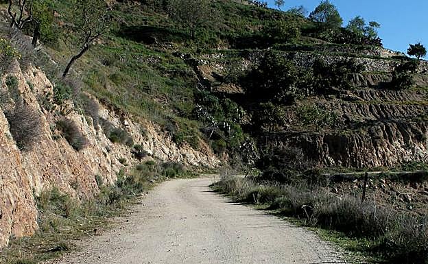 Los primeros metros discurren por un carril de tierra