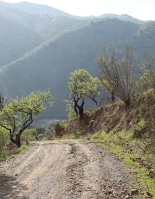 Imagen secundaria 2 - Baliza correspondiente a esta ruta | Camino empedrado en la primera parte de la ruta | Carril de tierra, durante la segunda parte del itinerario