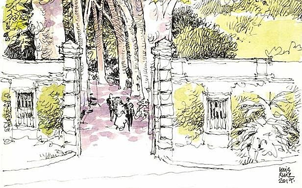 Málaga a trazos. A la sombra de los plátanos