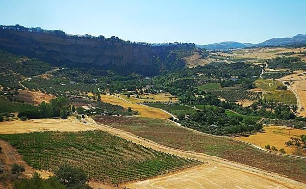 Imagen principal - Vista general del valle del Guadalevín. | Al fondo el Arco del Cristo. | Perspectiva del Tajo de Ronda