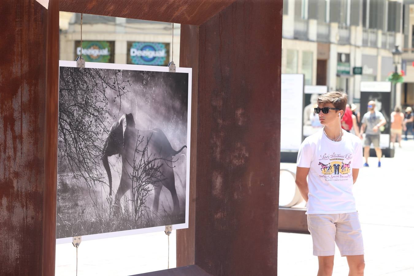 La plaza de la Constitución acoge las fotografías del autor brasileño de la mano de la Obra Social La Caixa