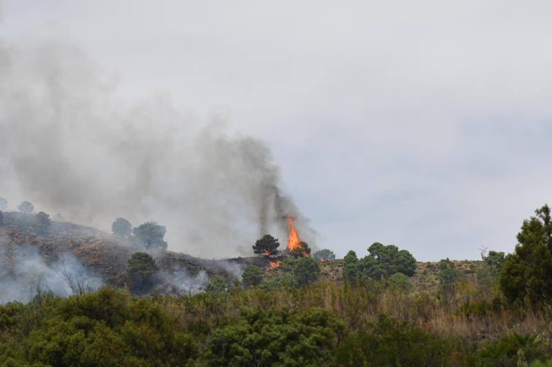 Tres helicópteros y medio centenar de bomberos luchan contra el incendioregistrado este domingo al norte de La Zagaleta.