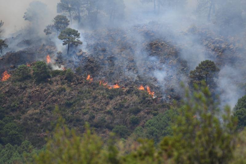 Tres helicópteros y medio centenar de bomberos luchan contra el incendioregistrado este domingo al norte de La Zagaleta.