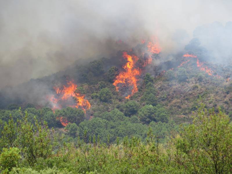 Tres helicópteros y medio centenar de bomberos luchan contra el incendioregistrado este domingo al norte de La Zagaleta.