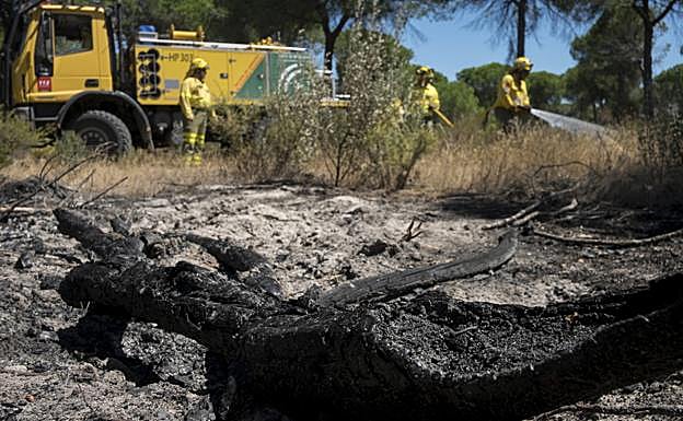Efectivos del Infoca realizan labores de refresco tras el incendio forestal declarado el pasado sábado