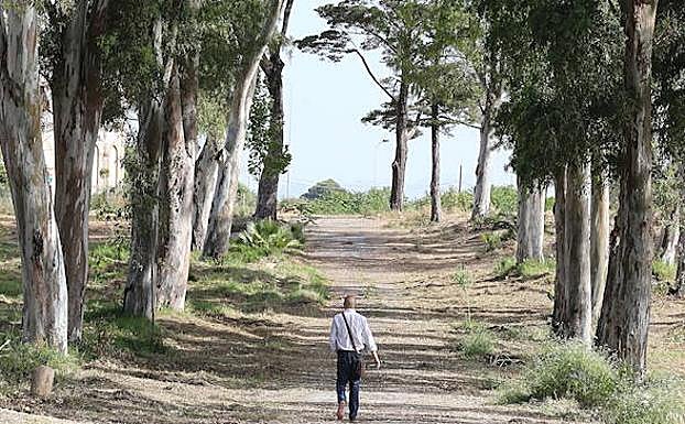 De la Torre anuncia que el Benítez abrirá la penúltima semana de julio