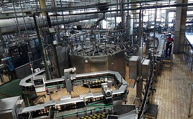 Imagen de la planta.