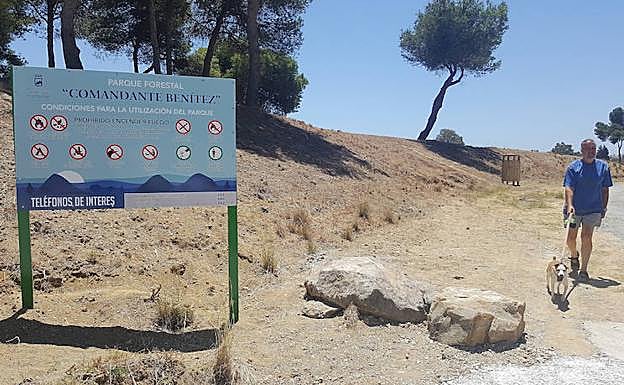 l 75% del arbolado son pinos de más de 90 años