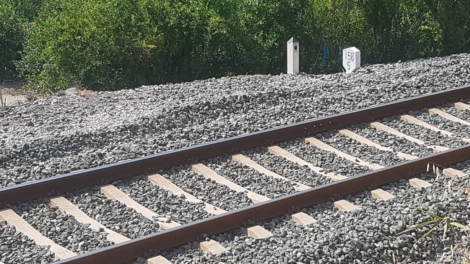 La menor ha sido hallada muerta en la vía del tren entre Pizarra y Alora, a unos 7 kilómetros del lugar donde se le perdió la pista