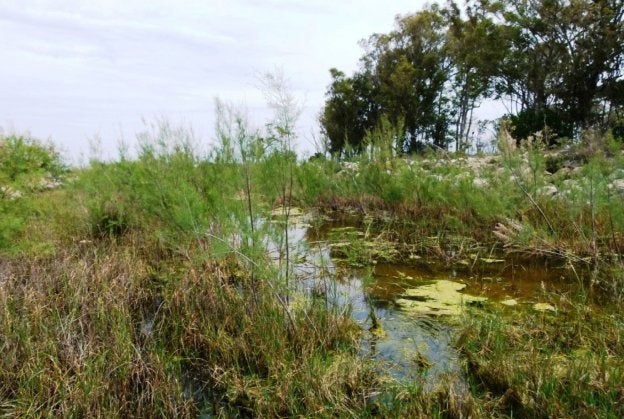 Estado del canal de desagüe que viene del aeropuerto. 