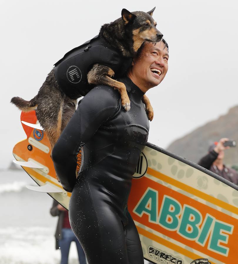 El Campeonato Mundial de Surf para perros en la Playa Linda Mar en California. Los perros acompañados de sus tandems o dueños luchan por el primer puesto en la competición 