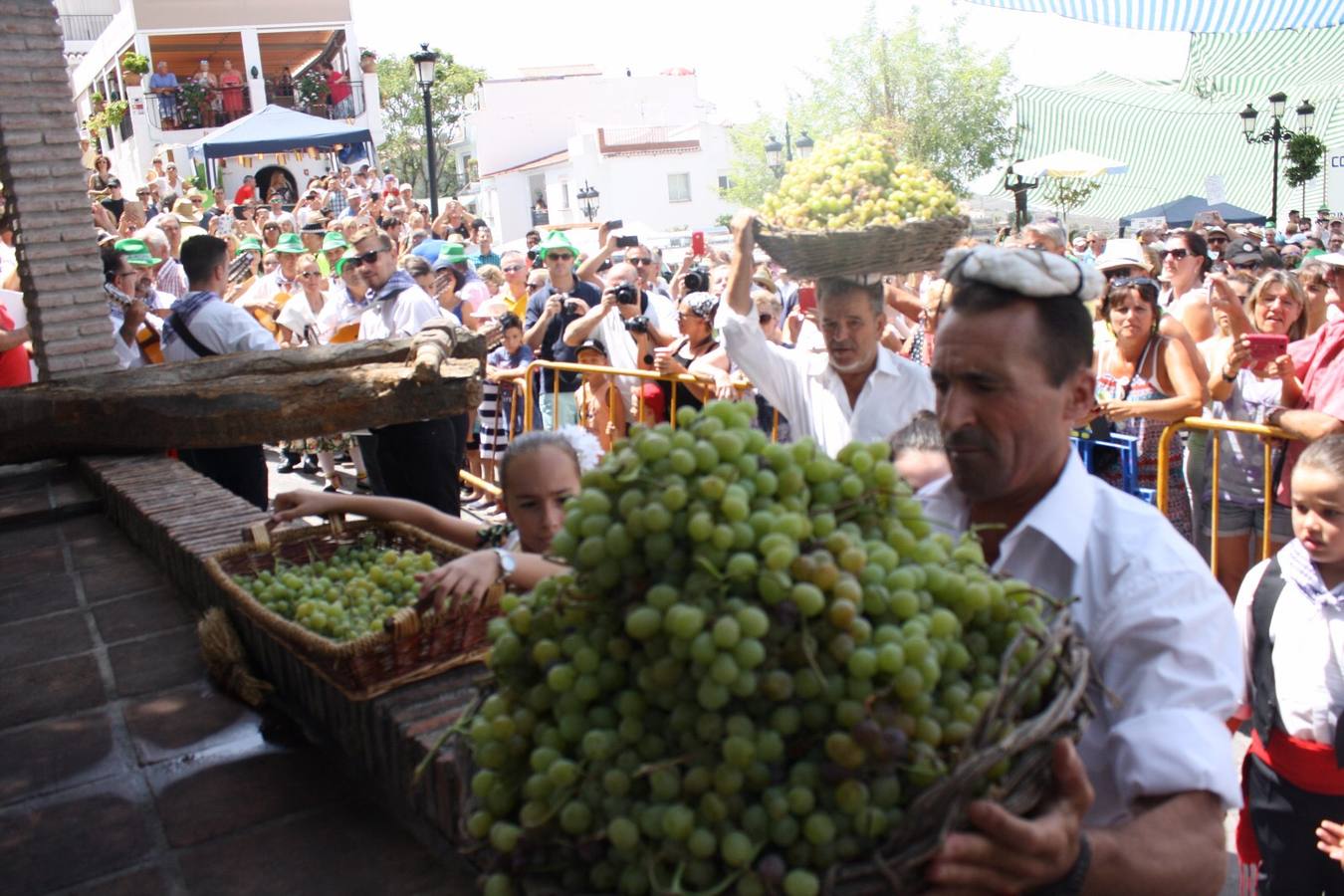 La localidad de la Alta Axarquía celebra este martes la 42.º edición de su fiesta en honor a la uva
