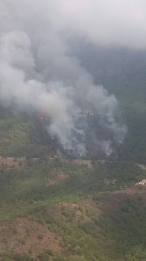 El fuego se inició este mediodía en la carretera A-397 que une San Pedro con Ronda