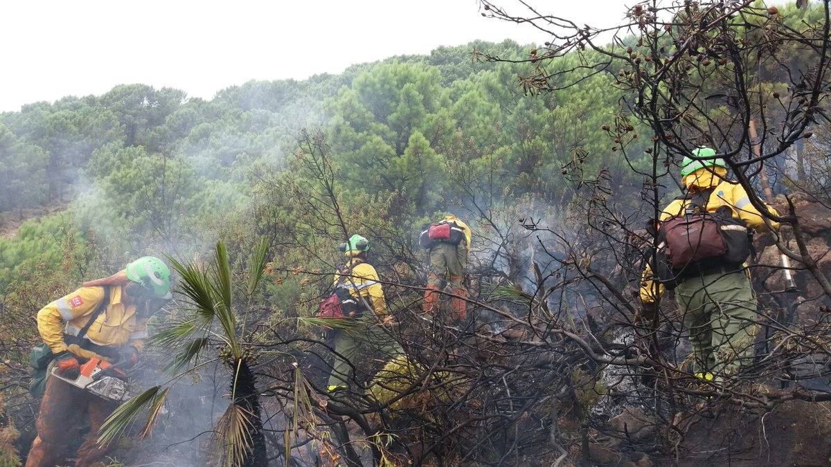 El fuego se inició este mediodía en la carretera A-397 que une San Pedro con Ronda