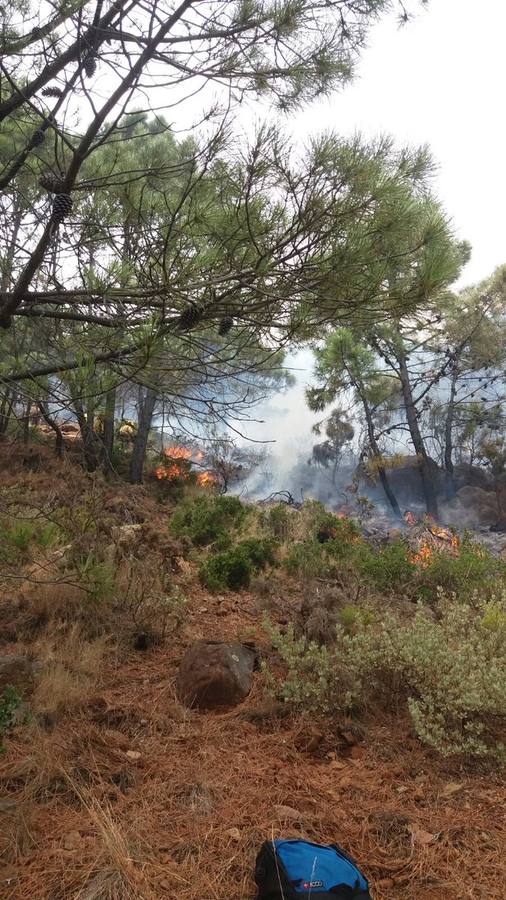 El fuego se inició este mediodía en la carretera A-397 que une San Pedro con Ronda