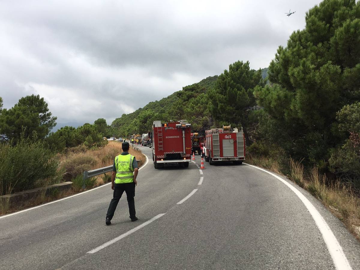 El fuego se inició este mediodía en la carretera A-397 que une San Pedro con Ronda